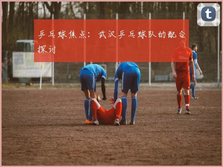 乒乓球焦点：武汉乒乓球队的配合探讨