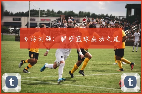 专访刘强：解密篮球成功之道