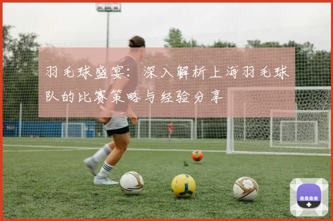 羽毛球盛宴：深入解析上海羽毛球队的比赛策略与经验分享