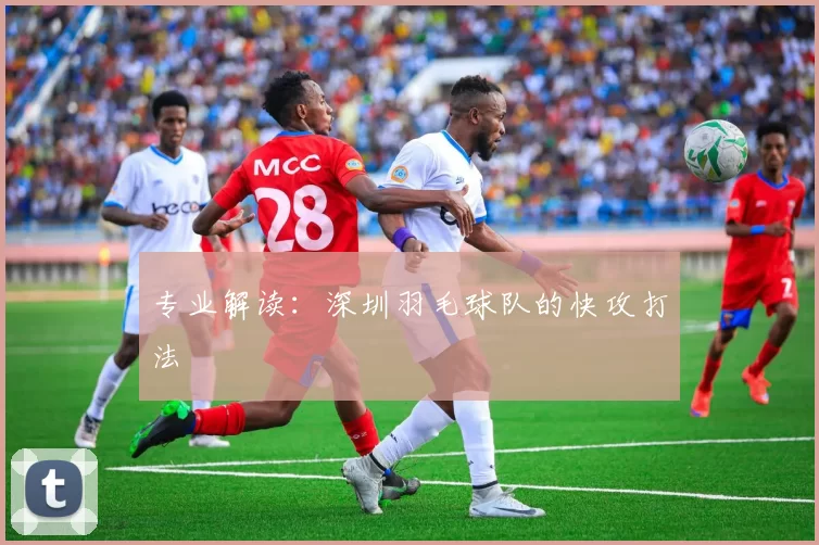 专业解读：深圳羽毛球队的快攻打法